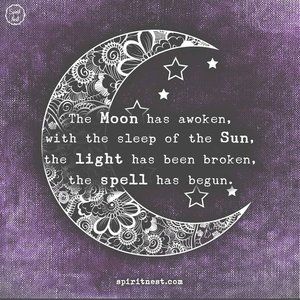 Meet your Posher, Jody